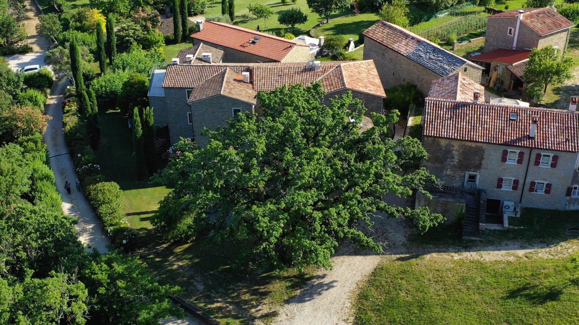 L'Abbraccio Della Quercia Apartment Momjan Exterior photo